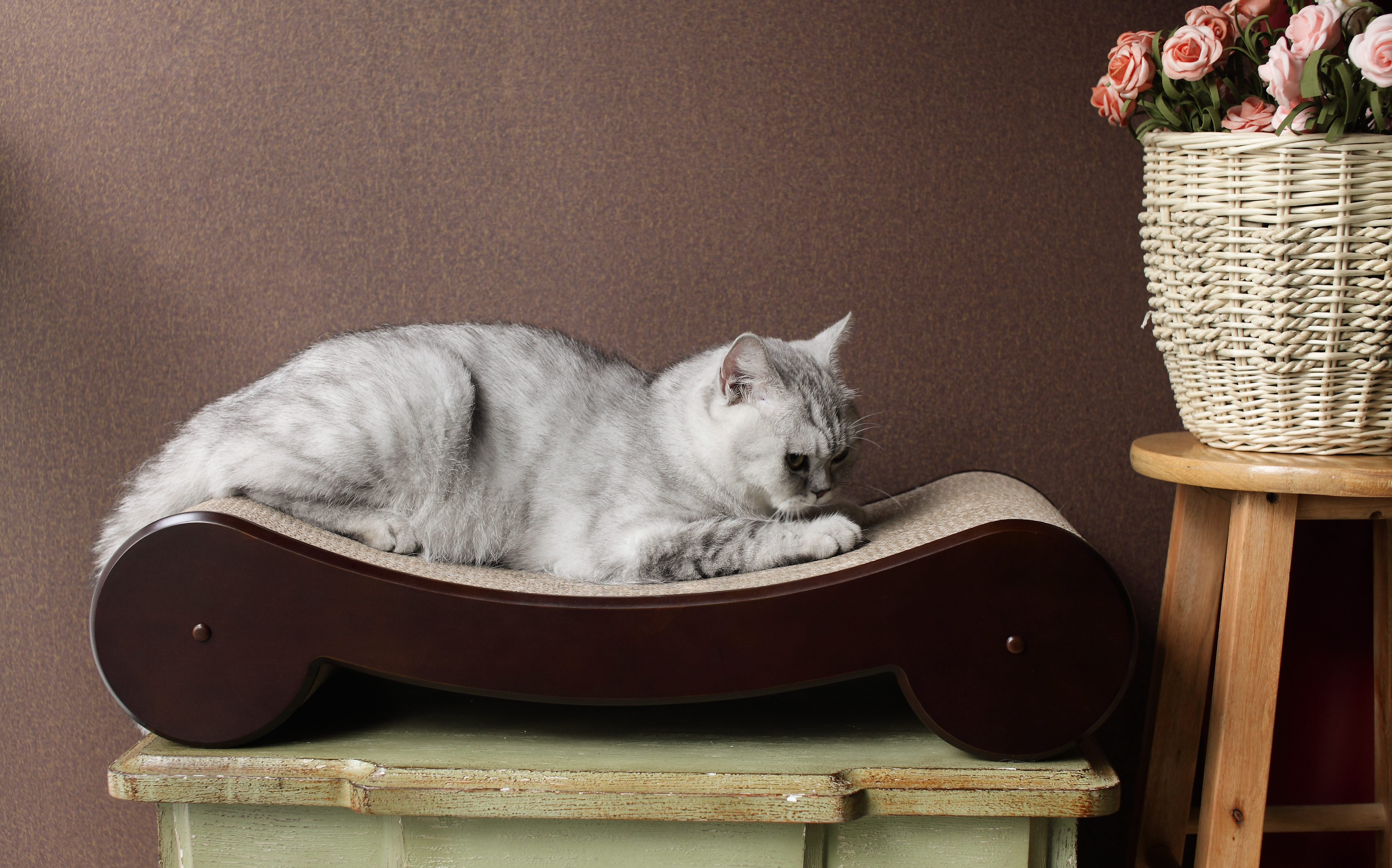 Cat Scratcher Bed Brown 812482020281 eBay